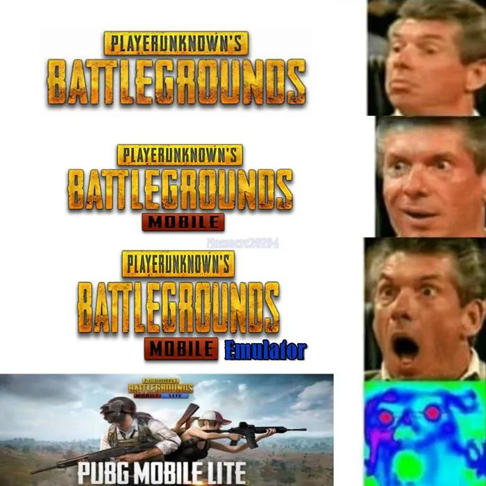 When PUBG lite came this was my reaction : r/PUBGMobile