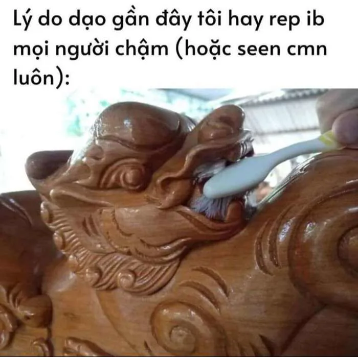 Tổng hợp Meme Tết 2024 Hài Hước, Độc Đáo | Ảnh Meme Tết Cho Bạn Bè |  Coolmate