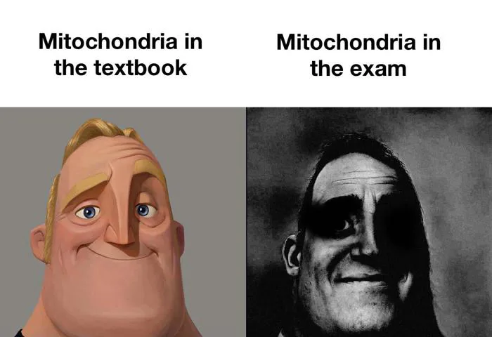 IB biology meme : r/IBO