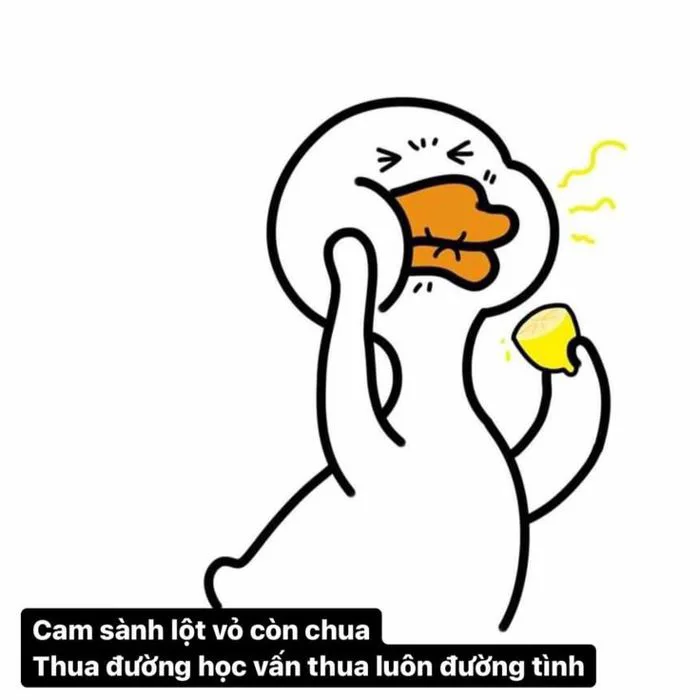 Khám phá 33 ý tưởng Meme rep inbox và hình biểu cảm | hài hước về mèo, ảnh  hài hước nhất, cảm xúc và các ý tưởng khác