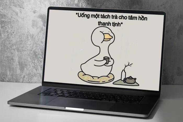 Hình nền laptop meme siêu hài giúp xả stress sau mùa thi
