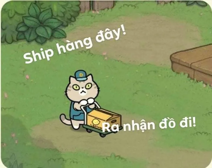 meme-ship-hang-1