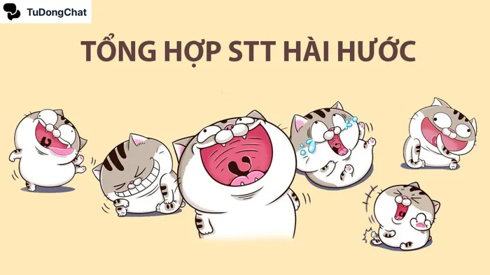 80 STT bán hàng hài hước làm khách hàng “Cười nghiêng ngả”