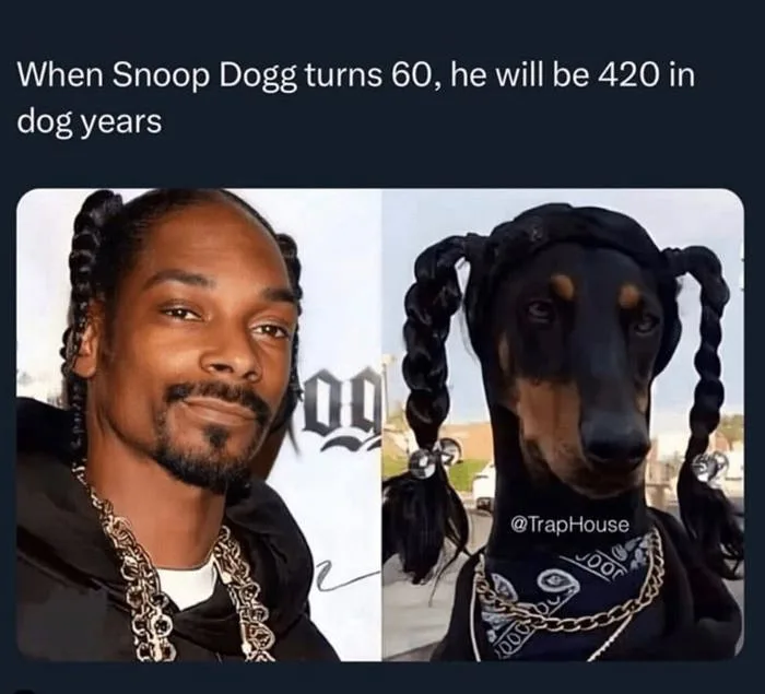 35 Snoop Dogg Memes For Everyone Who Thought The Olympics Need More Of Him