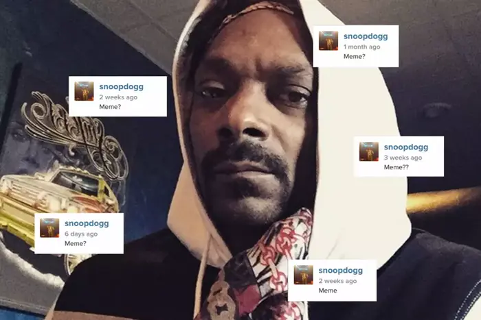 Snoop Dogg Really, Really Wants To Be A Meme | The Music