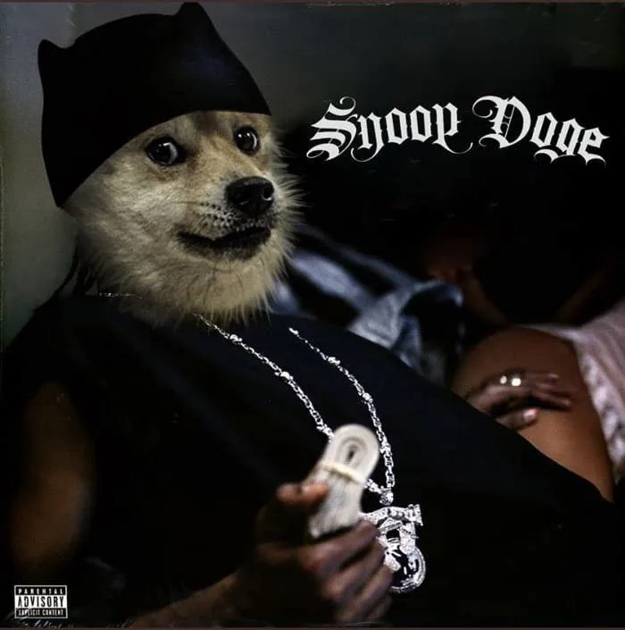 Snoop Dogg just pumped the Dogecoin - HIGHXTAR.