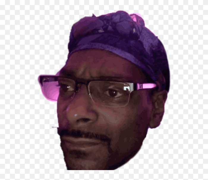 snoopdogg #meme - Snoop Dogg, HD Png Download - 539x645(#6924407) - PngFind