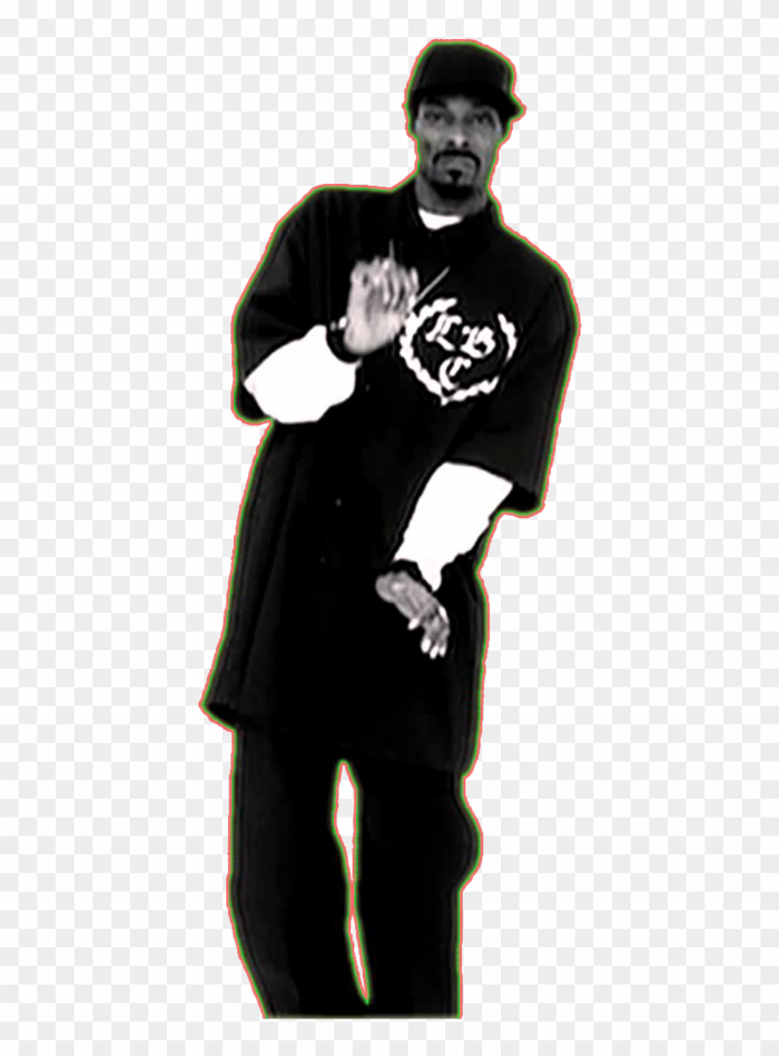 Snoop Dog Png - Snoop Dogg Meme Png, Transparent Png - 1080x1080(#26082) -  PngFind