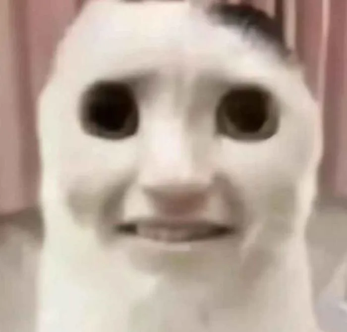 Trọn Bộ 100+ Meme Sợ Hãi Vui Nhộn, Hóm Hỉnh 2026