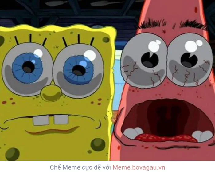 Meme sợ sệt là gì? Tổng hợp meme sợ sệt cực hài hước cho nhà đầu tư