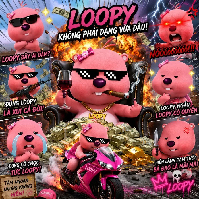 Full) Loopy meme - Ảnh gấu hồng vô tri, sticker cute, avatar