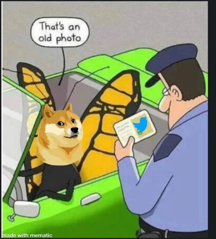 Dogecoin tăng giá mạnh sau khi Elon Musk thay đổi logo của Twitter