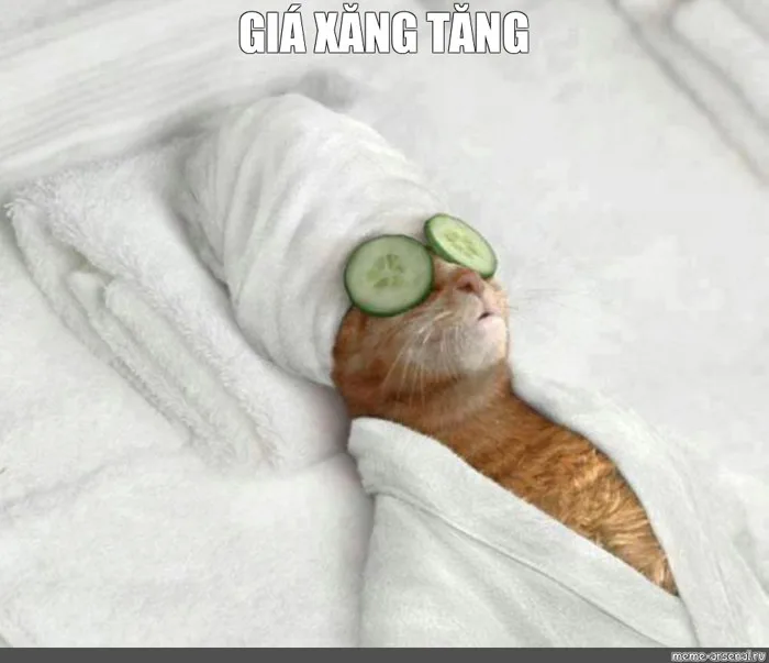 Meme: 