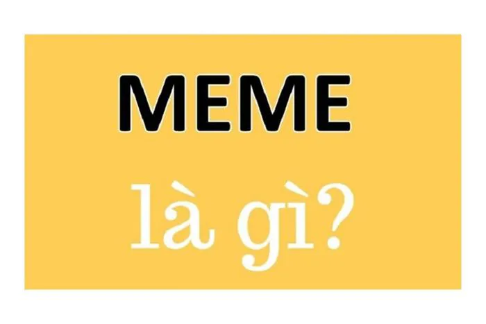Meme là gì? Top 10+ meme được sử dụng nhiều nhất hiện nay