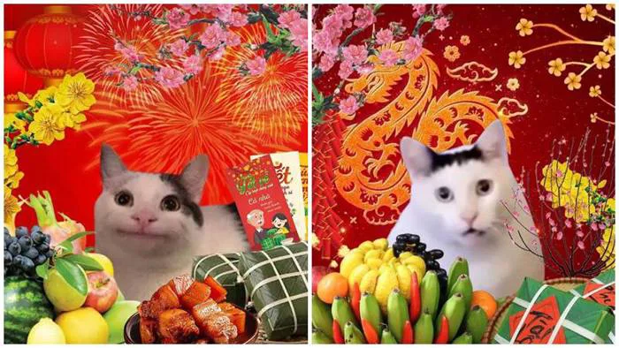 Tuyển tập Tết meme độc đáo, hài hước, ấn tượng nhất năm