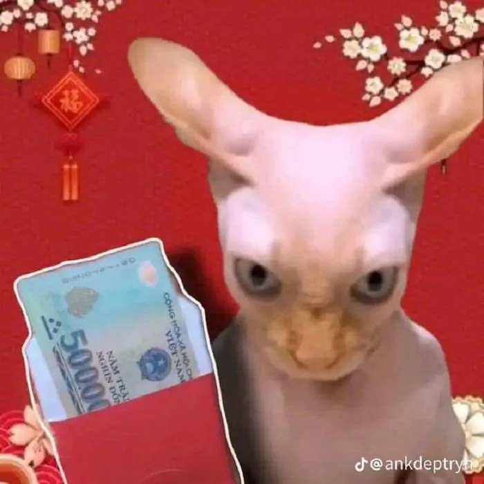 30+ meme Tết hài hước, thú vị cho năm mới nhiều niềm vui