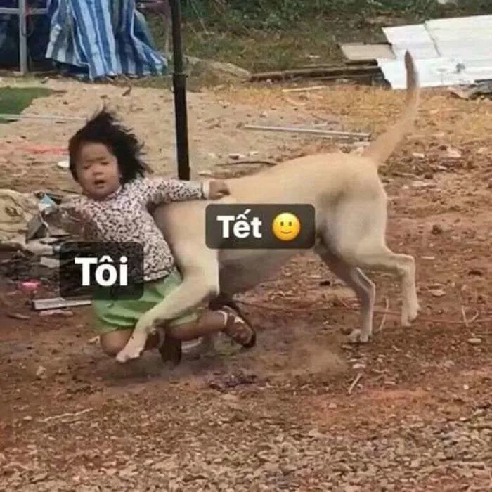 Tổng hợp Meme Tết 2024 Hài Hước, Độc Đáo | Ảnh Meme Tết Cho Bạn Bè |  Coolmate