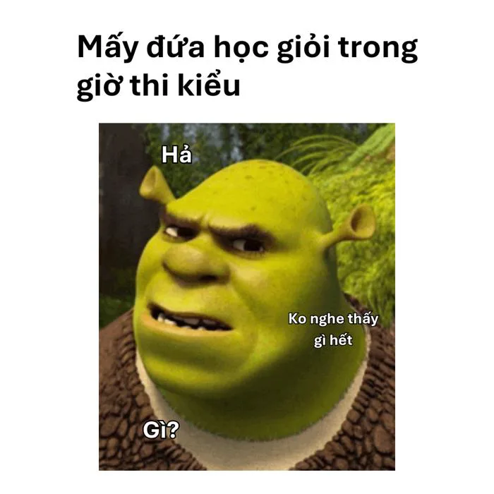 Meme Thi Cử Cực Hài Dành Cho Team Ôn Thi Trong Nước Mắt