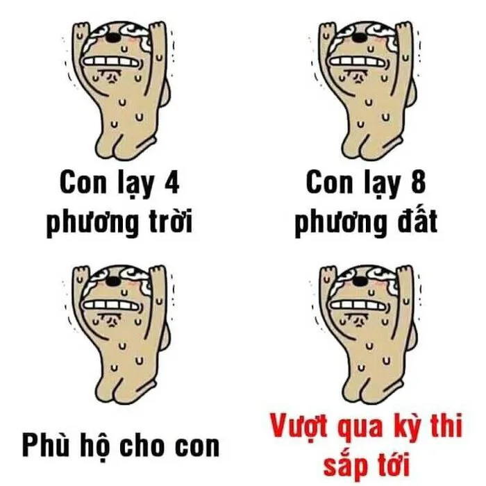 Bộ sưu tập hình meme lạy hài hước