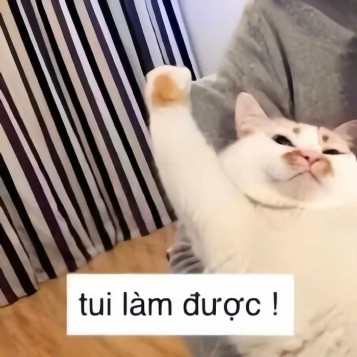 101+ meme chúc thi tốt hài hước cực chất cho sĩ tử 2k7