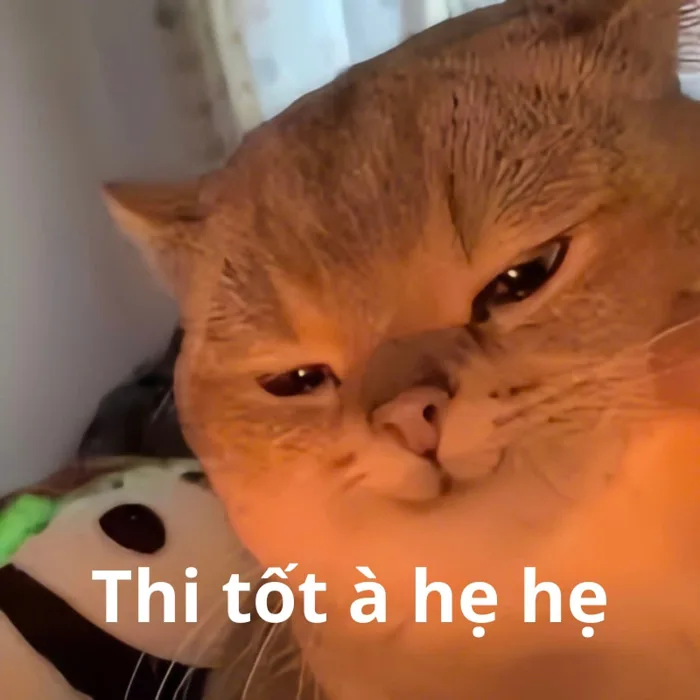 101+ meme chúc thi tốt hài hước cực chất cho sĩ tử 2k7
