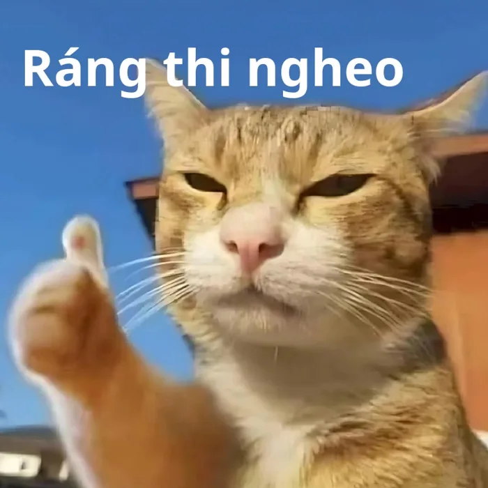 101+ meme chúc thi tốt hài hước cực chất cho sĩ tử 2k7
