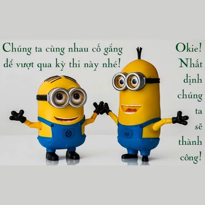 101+ meme chúc thi tốt hài hước cực chất cho sĩ tử 2k7