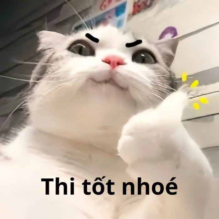 101+ meme chúc thi tốt hài hước cực chất cho sĩ tử 2k7