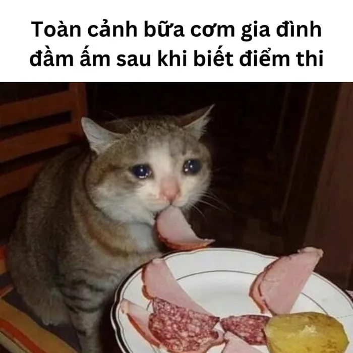 101+ meme chúc thi tốt hài hước cực chất cho sĩ tử 2k7
