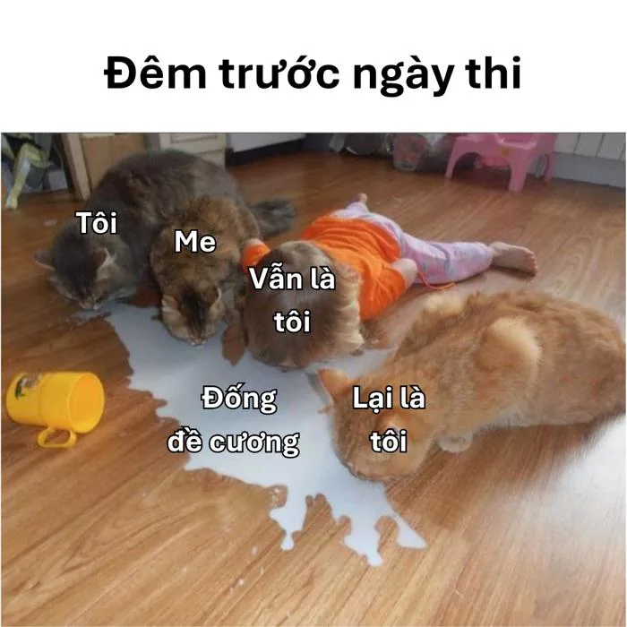Meme Thi Cử Cực Hài Dành Cho Team Ôn Thi Trong Nước Mắt