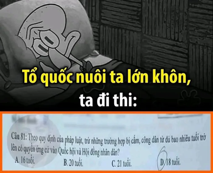 Cười lăn với loạt ảnh chế trước ngày biết điểm thi tốt nghiệp THPT