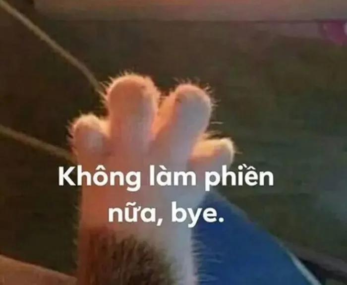 Trọn Bộ Sưu Tập Meme Tạm Biệt Dễ Thương, Hài Hước 2026