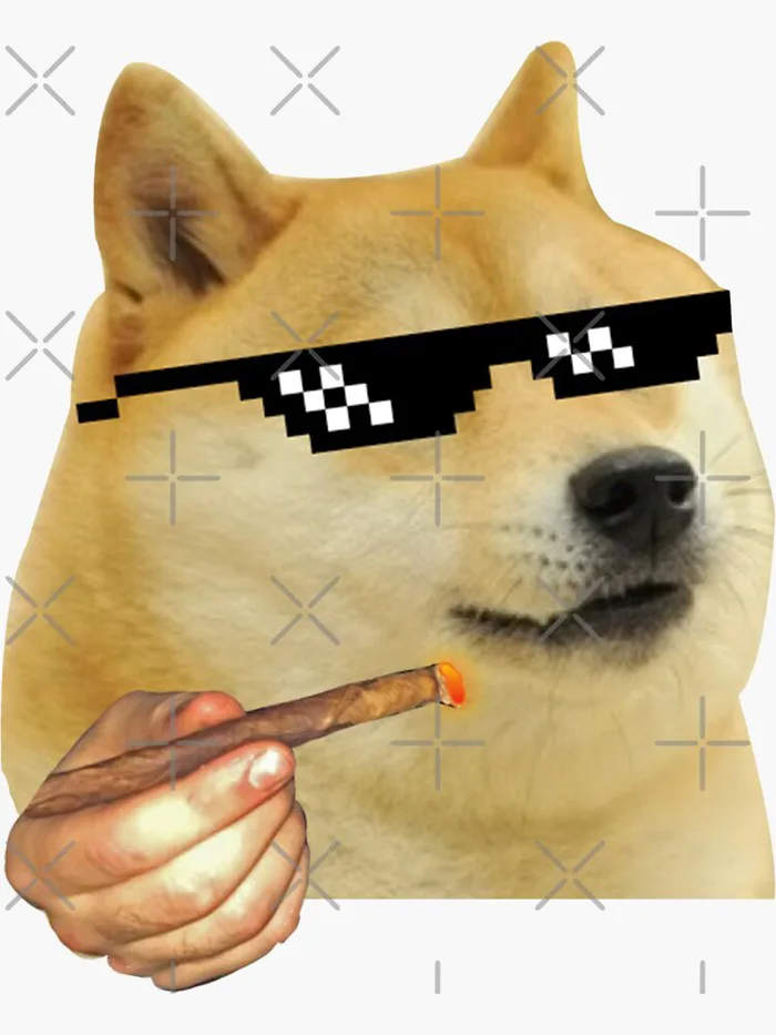 Cute shiba inudog puppy Quieres meme- funny meme- shiba inudog meme- thug  life