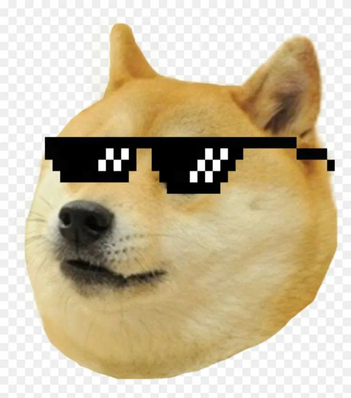Thug Life Meme Dog , Png Download, Transparent Png(778x872) - PngFind