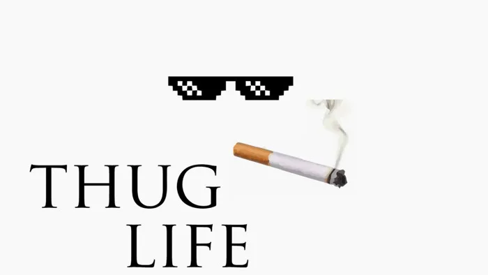 thug life sound effect