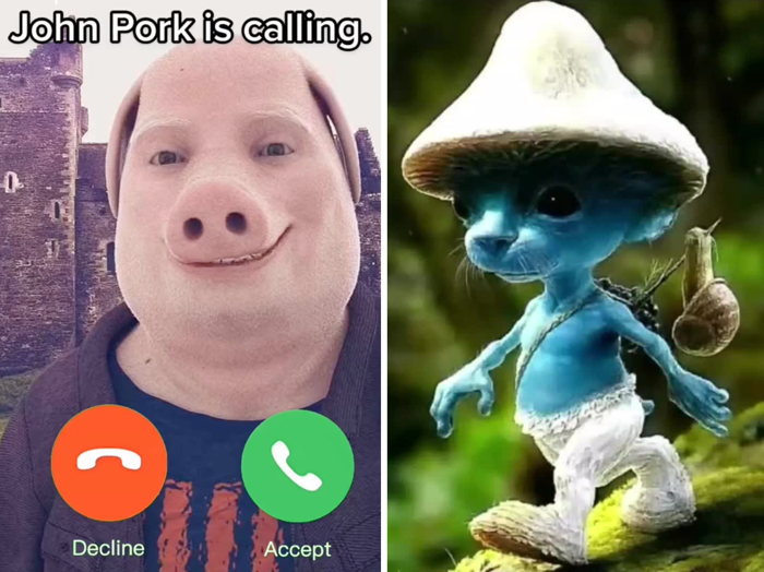 The TikTok 
