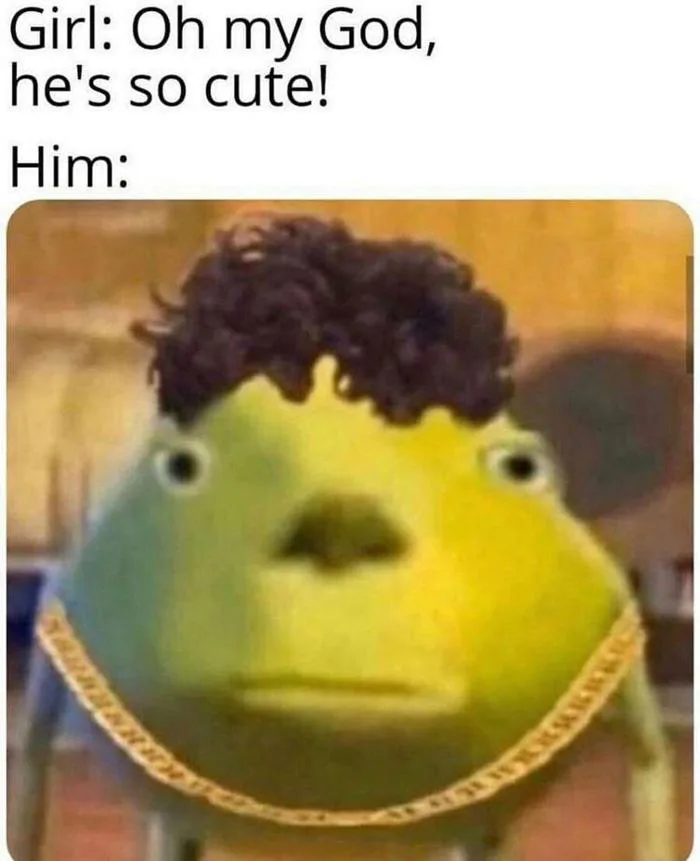 Funny Joke Meme Clean Tik Toks That Are Actually Funny That's How Boys On  Tiktok Be