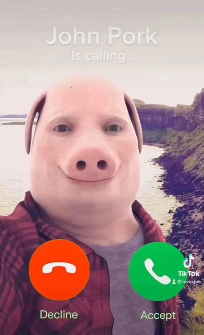Tiktok is a meme-generating machine – Tri-Color Times