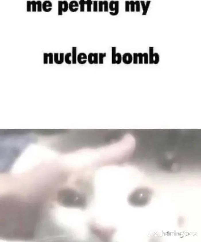Tao mê mấy meme kiểu trình chiếu ảnh mèo trên TikTok lắm! : r/Catmemes