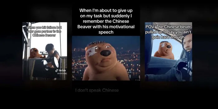 Hải ly Trung Quốc - Sự thật đằng sau meme gây bão toàn cầu