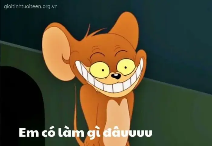 Top 150+ ảnh Meme Tom And Jerry hài hước, vui nhộn từ bộ hoạt hình kinh điển