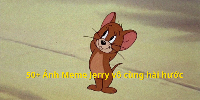 Tổng Hợp 50+ Jerry Meme Bộ Sưu Tập Ảnh Jerry Siêu Hài Hước và Vô Tri - Hình Meme