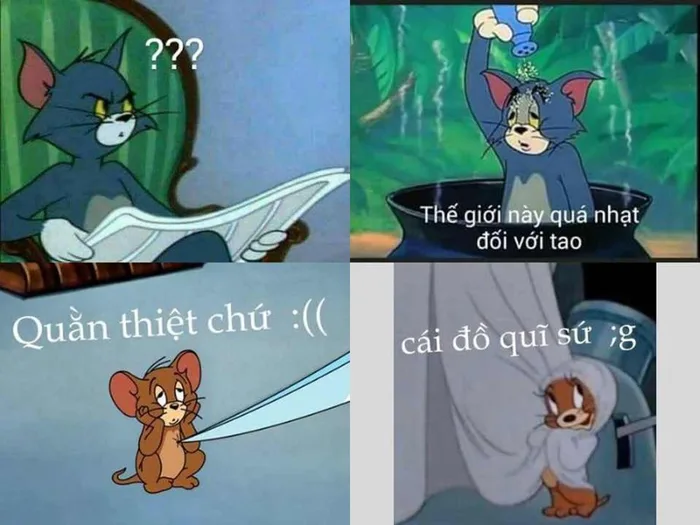Tổng hợp những hình ảnh Tom and Jerry meme siêu hài hước khiến bạn bật cười ngay khi nhìn thấy