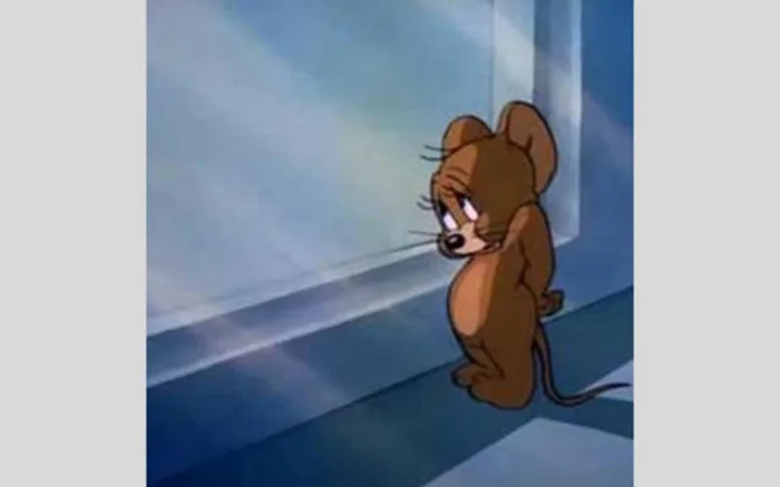 TOP 50+ hình ảnh tom and jerry meme cực troll, cười vỡ bụng | Yody