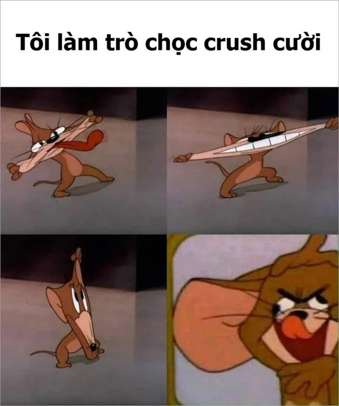 Tổng hợp những hình ảnh Tom and Jerry meme siêu hài hước khiến bạn bật cười ngay khi nhìn thấy