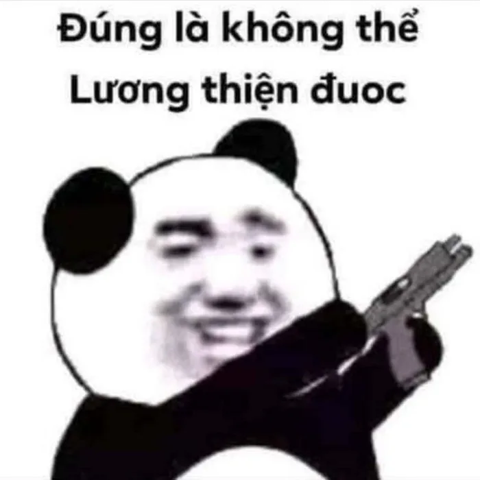 Lưu ngay các mẫu meme Trung Quốc độc lạ, hài hước và giúp bạn đánh bay mệt  mỏi