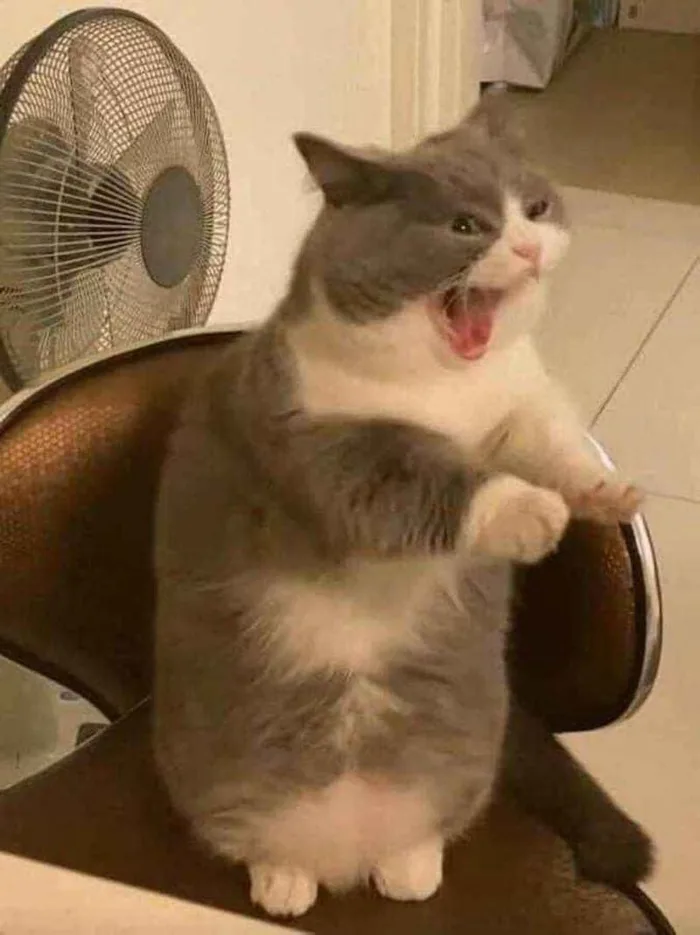 Tổng Hợp 99+ Meme Tức Giận, Ảnh Chế Cáu Gắt Hài Hước, Độc Lạ Nhất