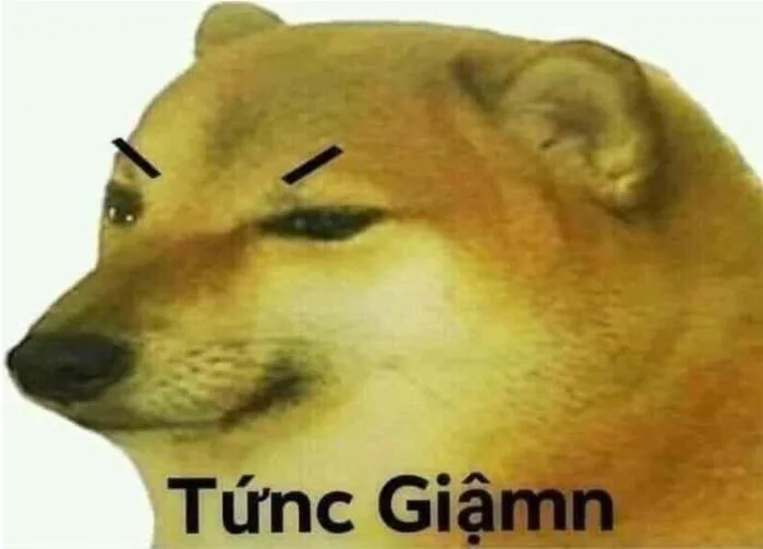 Tổng hợp Meme tức giận cute, dễ thương, tức ghê, giận tím người