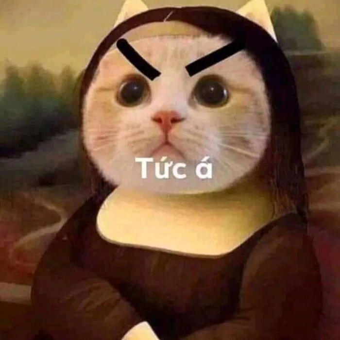 Tổng Hợp 100+ Meme Tức Giận Cute, Đáng Yêu Dễ Dùng Nhất