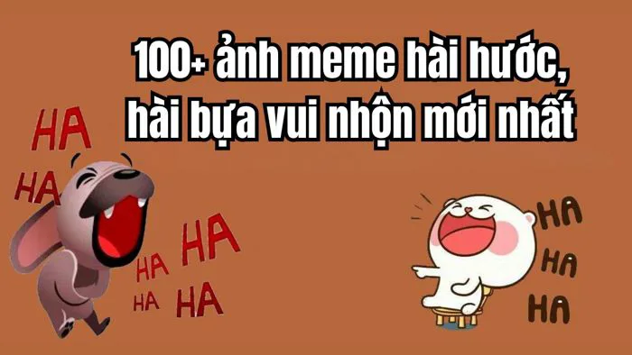 100+ hình ảnh meme hài hước, vui nhộn và hot nhất